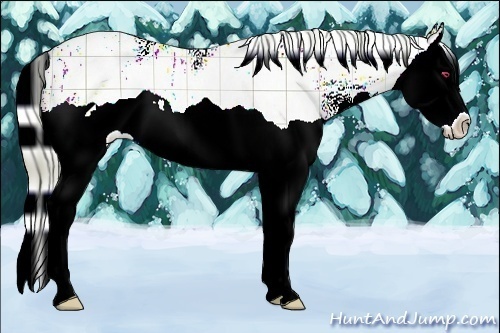 Horse Color:Plaid  Liver Chestnut Chinchilla Splash 