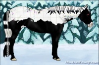 Horse Color:Plaid  Liver Chestnut Chinchilla Splash 