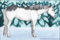 Horse Color:Silver Brown Chinchilla Sabino Splash 