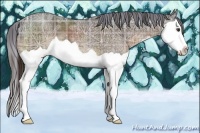 Horse Color:Plaid  Liver Chestnut Ice Splash 