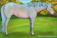 Horse Color:Watercolor Liver Chestnut