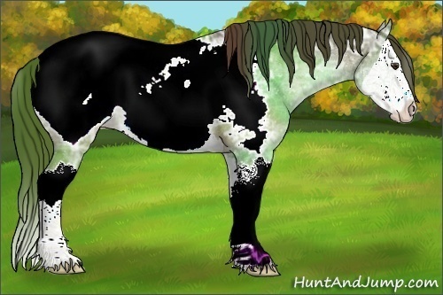 Horse Color:Liver Red Ice Roan Sabino Splash Appaloosa 