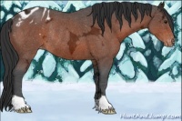 Horse Color:Brown Ice Appaloosa Rabicano 