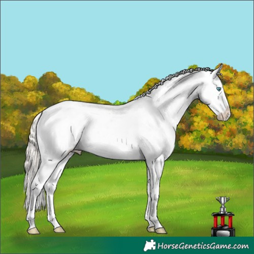 Horse Color:White Spotted Chocolate Palomino Pearl Snowflake Varnish
