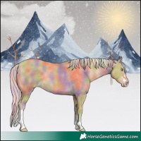 Horse Color:Nacre Gold Cream Champagne Sabino Tobiano