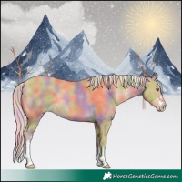 Horse Color:Nacre Gold Cream Champagne Sabino Tobiano 