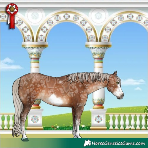 Horse Color:Gray White Spotted Silver Bay Ice Pearl Frame 