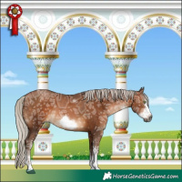 Horse Color:Gray White Spotted Silver Bay Ice Pearl Frame 