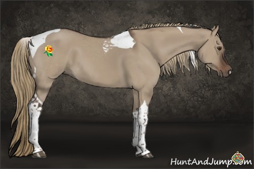 Horse Color:Liver Red Dun Tobiano 