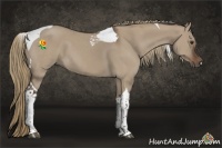 Horse Color:Liver Red Dun Tobiano 