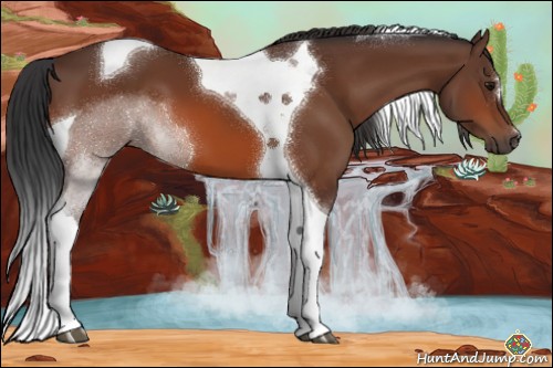 Horse Color:Bay Tobiano 
