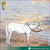 Horse Color:White Spotted Silver Brown Ice Dun Tobiano Appaloosa 