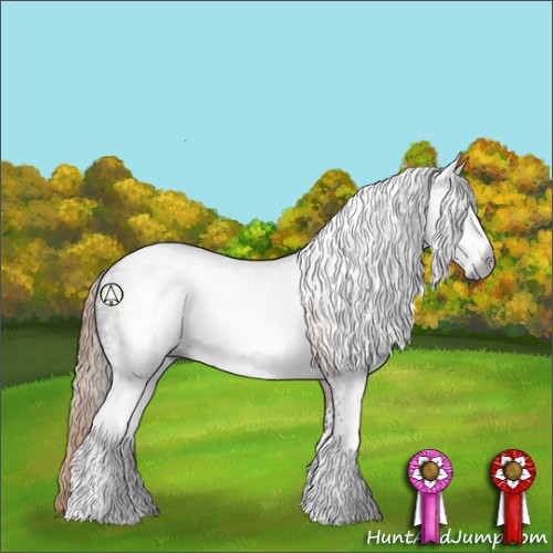 Horse Color:Gray White Spotted Liver Chestnut Rabicano 
