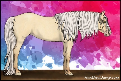 Horse Color:Silver Amber Champagne Roan Dun 