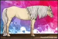 Horse Color:Silver Amber Champagne Roan Dun