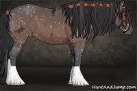 Horse Color:Brown Ice Snowflake Varnish 
