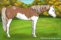 Horse Color:Chestnut Splash Snowflake Varnish 