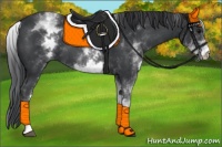 Horse Color:White Spotted Black 