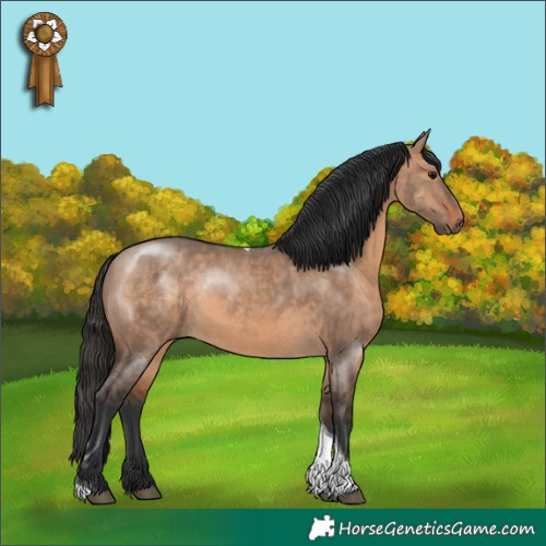 Horse Color:Brown Dun Sabino Tobiano Rabicano 