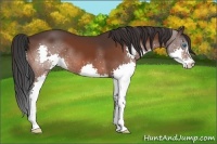 Horse Color:Brown Splash 