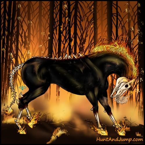 Horse Color:Void Bay Dun Sabino Blanket
