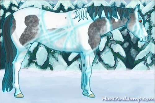 Horse Color:Thunderstruck Brown Chinchilla Sabino Tobiano Rabicano