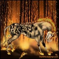 Horse Color:Void Palomino Dun Sabino Splash Appaloosa 