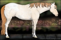 Horse Color:Classic Champagne Ice Roan Pearl Varnish