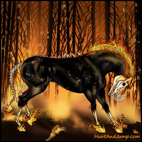 Horse Color:Void White Spotted Bay Dun Tobiano Appaloosa 