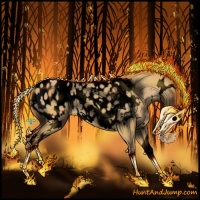 Horse Color:Void White Spotted Palomino Dun Sabino Splash Appaloosa 