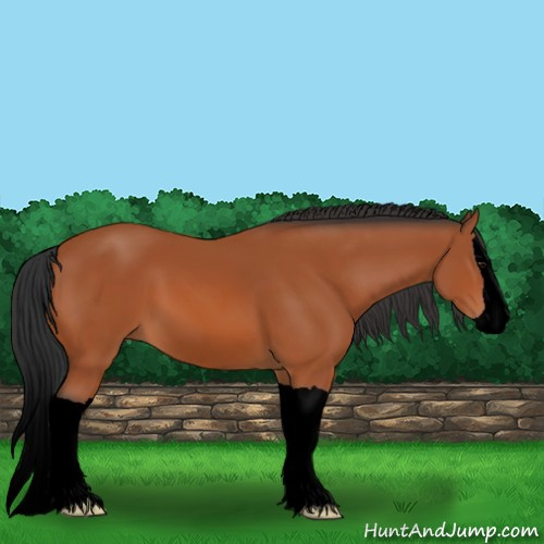 Horse Color:Void Bay Splash 