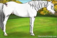 Horse Color:Brown Onyx Sabino Frame 