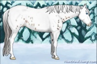 Horse Color:Liver Chestnut Sabino Splash Tobiano Leopard