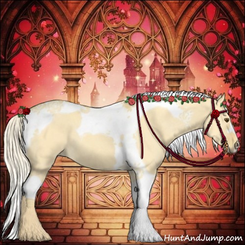 Horse Color:Palomino Dun Tobiano 