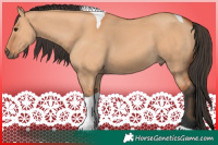 Horse Color:Bay Dun Tobiano 