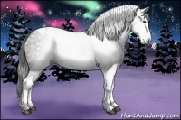 Horse Color:Gray Black Tobiano 