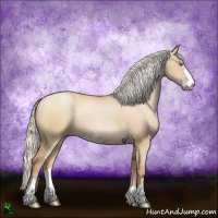 Horse Color:Silver Bay Pearl Dun Sabino 