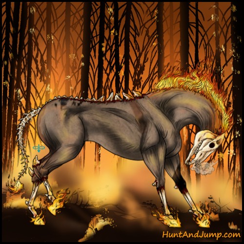 Horse Color:Void Red Dun Roan Sabino Appaloosa 