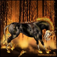 Horse Color:Void White Spotted Bay Roan Dun Appaloosa 