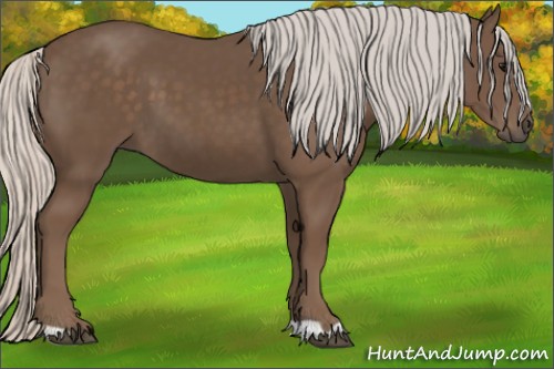 Horse Color:Silver Black