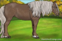 Horse Color:Silver Black 