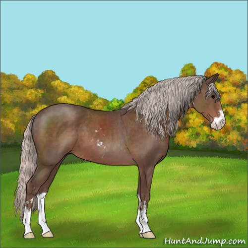 Horse Color:Silver Black Sabino 