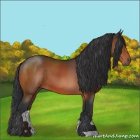 Horse Color:Brown 