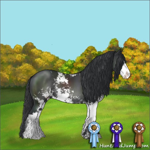 Horse Color:Black Sabino Rabicano 