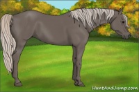 Horse Color:Silver Black 