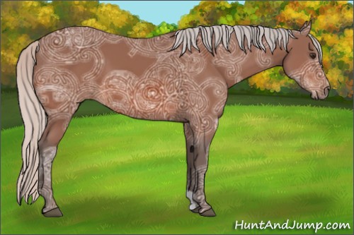 Horse Color:Silver Brown Ice