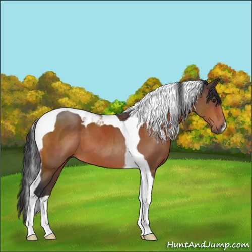 Horse Color:Brown Tobiano 