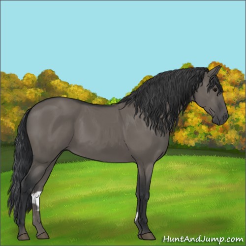 Horse Color:Grullo Sabino