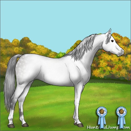 Horse Color:Gray Grullo Sabino Tobiano 