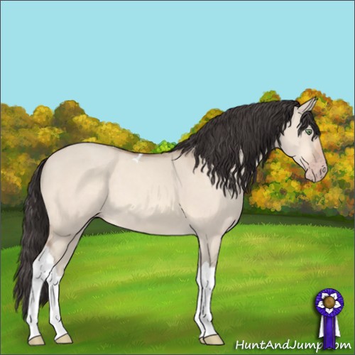 Horse Color:Sable Champagne Dun Tobiano